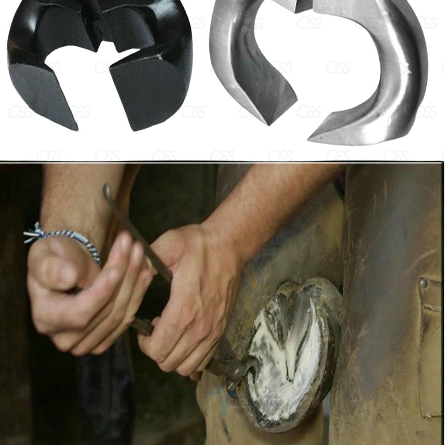 Authentic hoof pin cutter 12 nipper farriers trimmer tool veterinary steel set