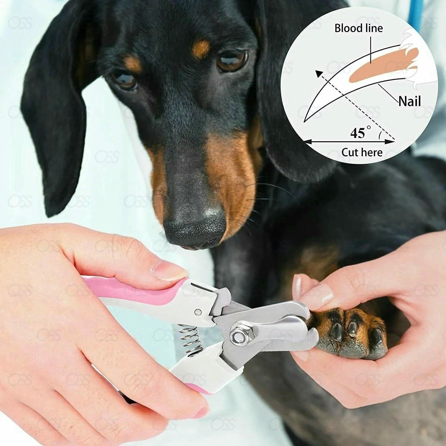 Dog Nail Clippers Pet Cat Rabbit Sheep Animal Claw Trimmer Grooming Large Small