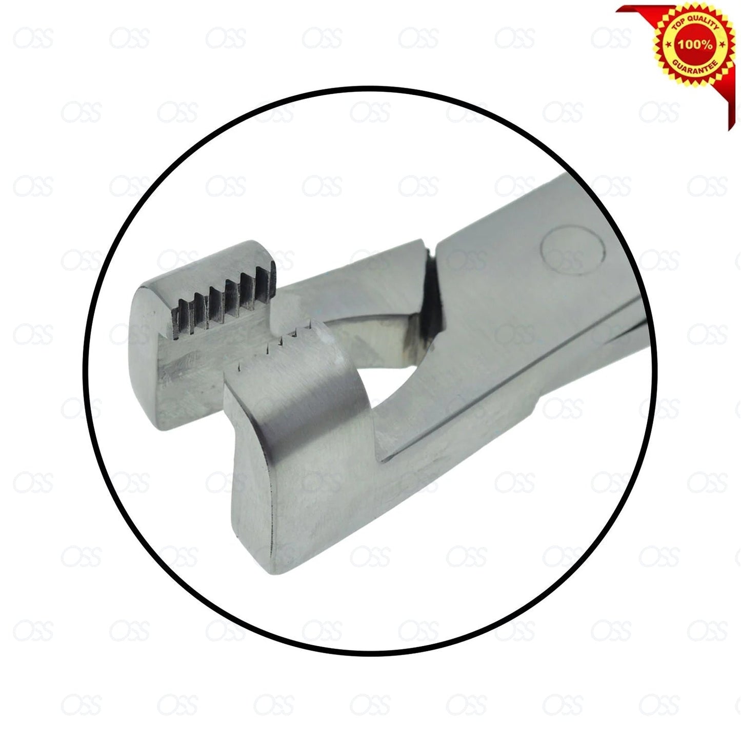 Equine Dental Forceps 19"