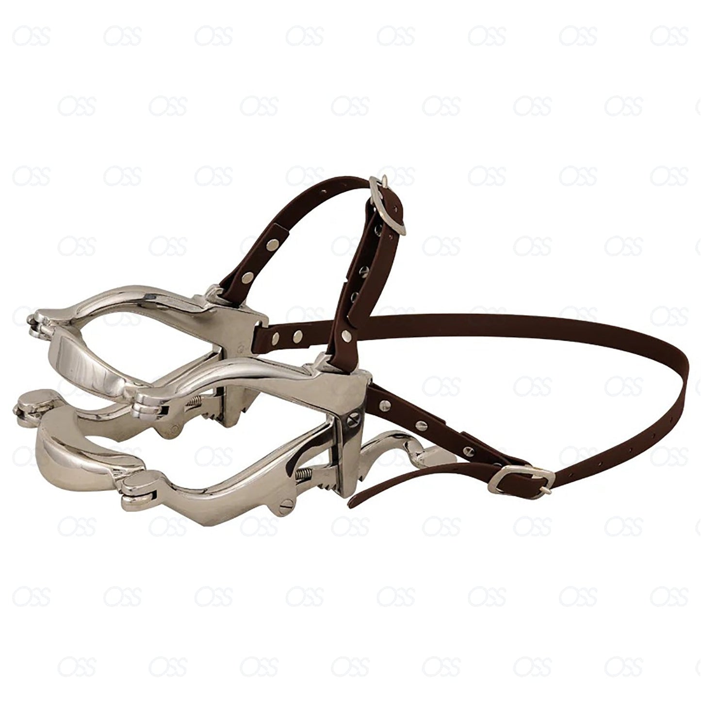 Equine Dental Specalum Horse Mouth Gag 6 plates Real Leather Stp Veterinary