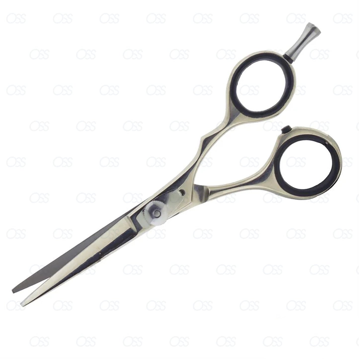 Professional Hairdressing Scissors,Hair Cutting Scissors Shears for Barber Salon - 5.5"-6" Overall Length with Fine Adjustment Tension Screw 100% Stainless (5.5" Classic Polish)