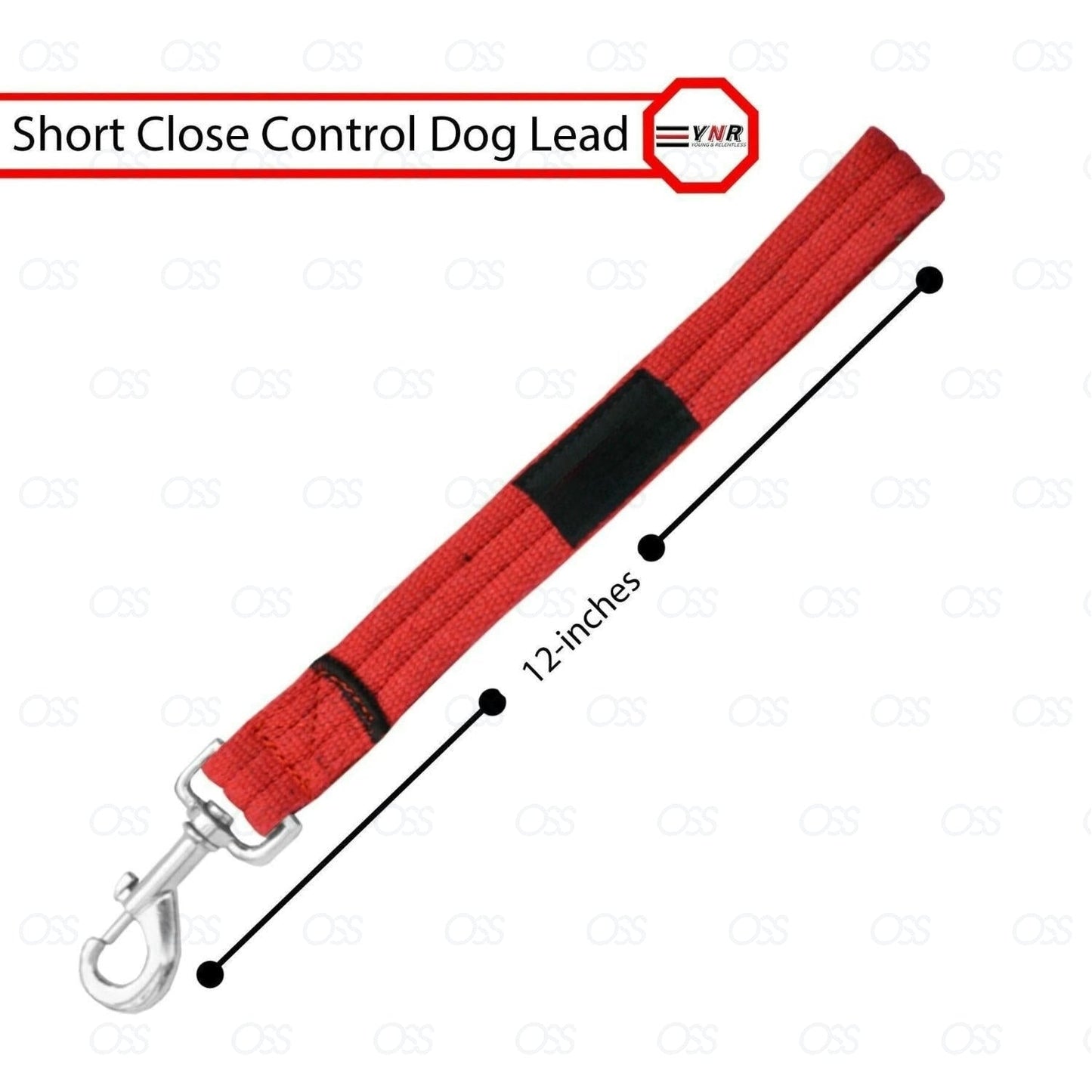 10" Short Dog Training Lead Leash Grab Handle Close / Traffic Control 25mm Wide