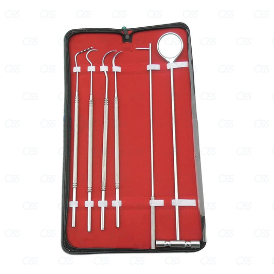 Set of dental tools in a red case 15 inch equine horse dental mouth probe, scaler, explorer, pick, veterinary dental kit for livestock oral cleaning