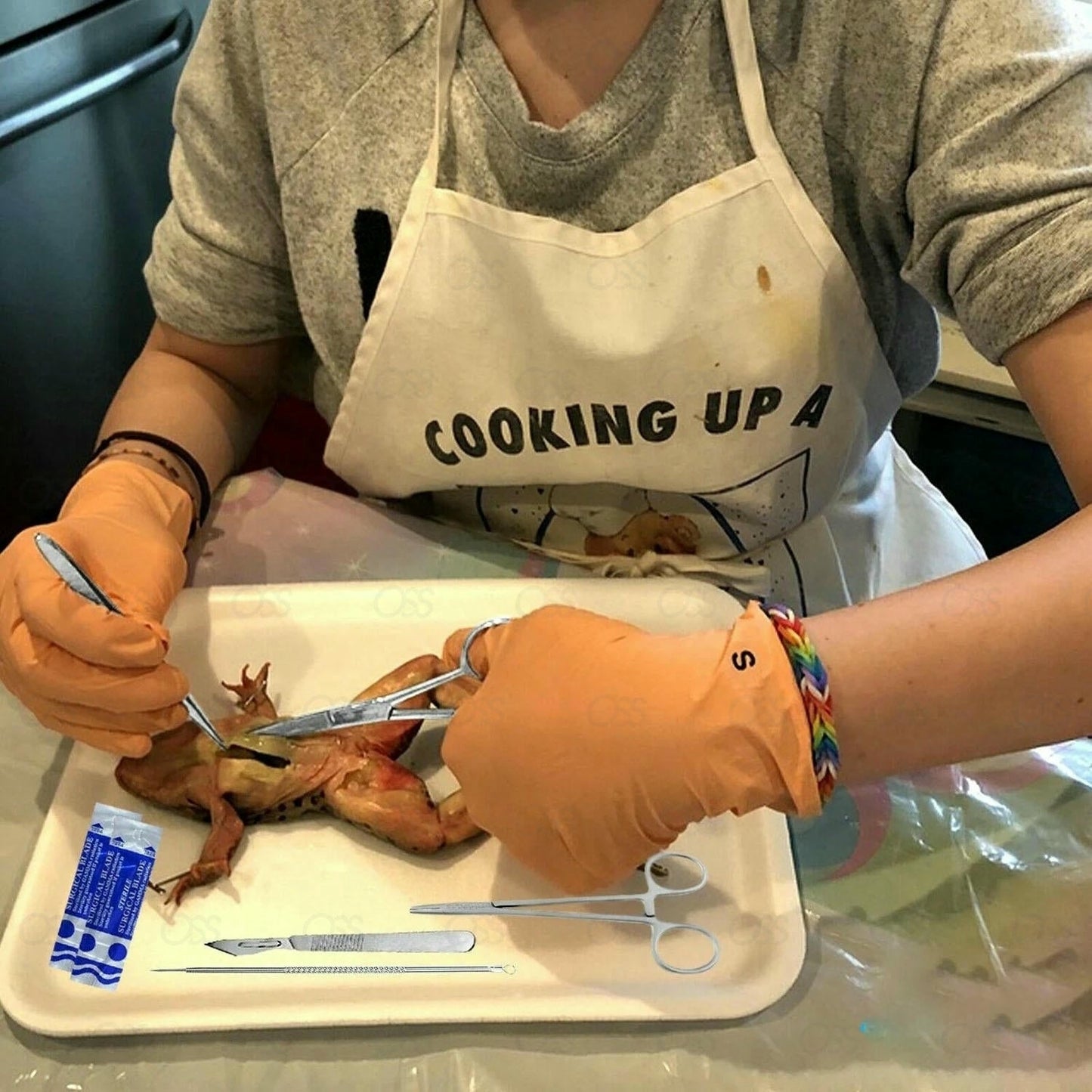 7 PCs STUDENT DISSECTING KIT VETERINARY SURGICAL DIAGNOSTIC EXAMINATION CE