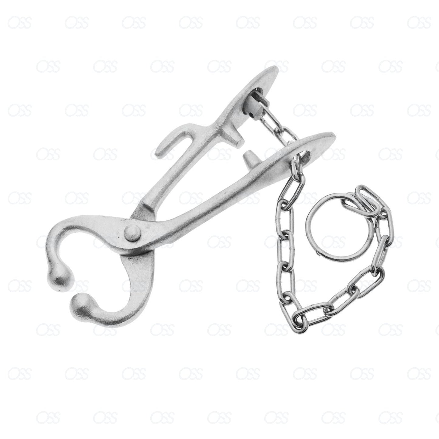 Bull Holder Pliers lead chain Nose barnicle Large size Veterinary Instrument