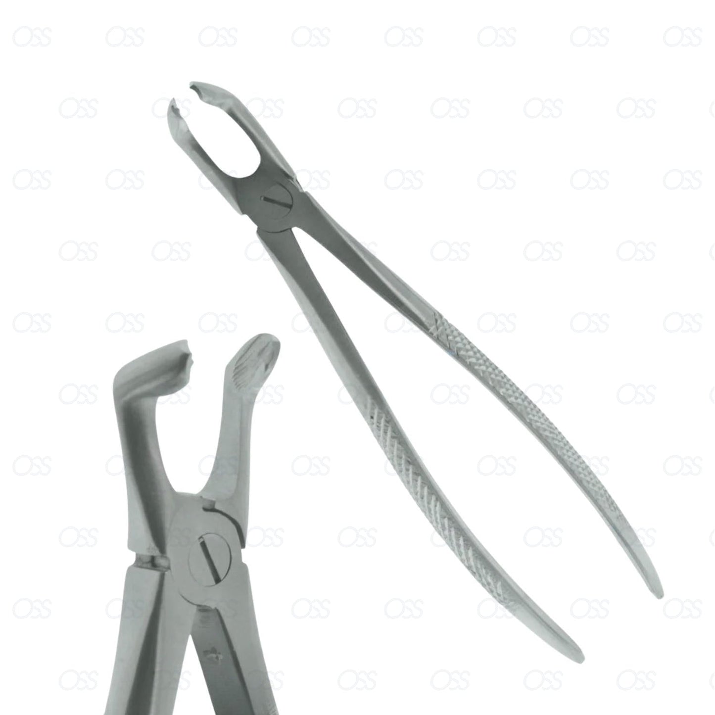 Dental Forceps No. 79C Lower Third Molar Extraction