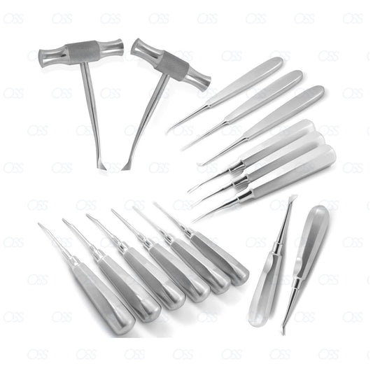 Dental Root Elevator Luxation Extraction Dentist Lab Surgery Equipment CE