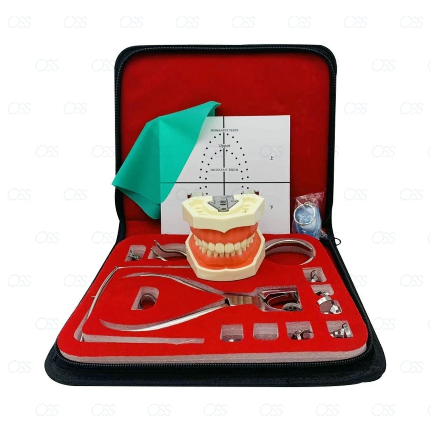 Dental Rubber Dam Kit Ainsworth Brewer Winged Rubber Dam Clamps Forceps Frame CE