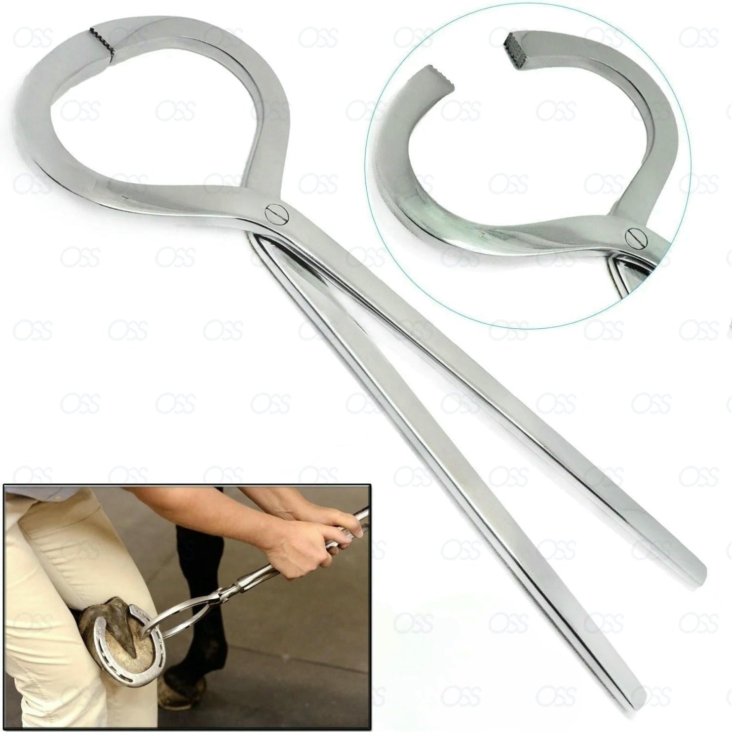England 13" Hoof Testers Stainless Steel Farriers Tools Equine Equipments CE