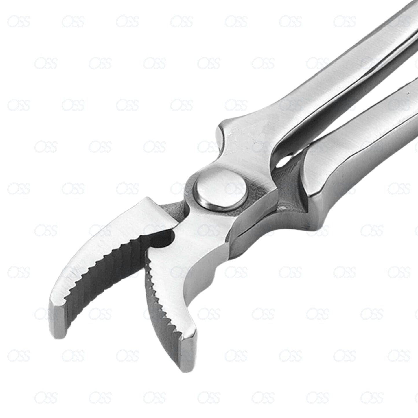 England Jaw Nail Clincher Silver Farriers Vet Tools Livestock Farming CE