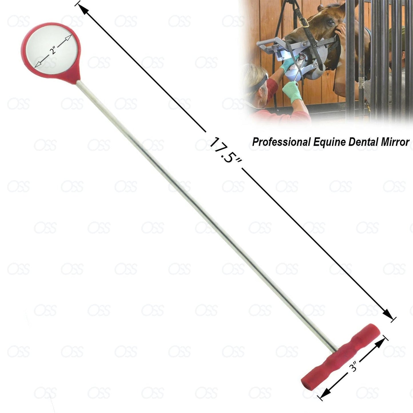 Equine Dental Mouth Mirror Curved Veterinary Dentistry First Aid Instruments