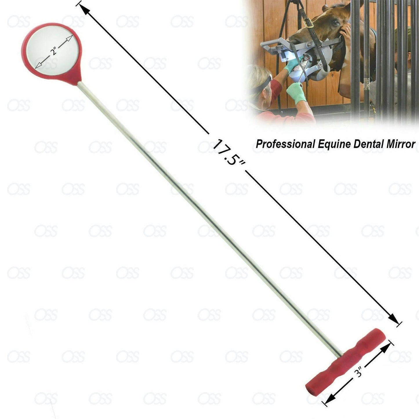 Equine Dental Mouth Mirror Curved Veterinary Dentistry First Aid Instruments