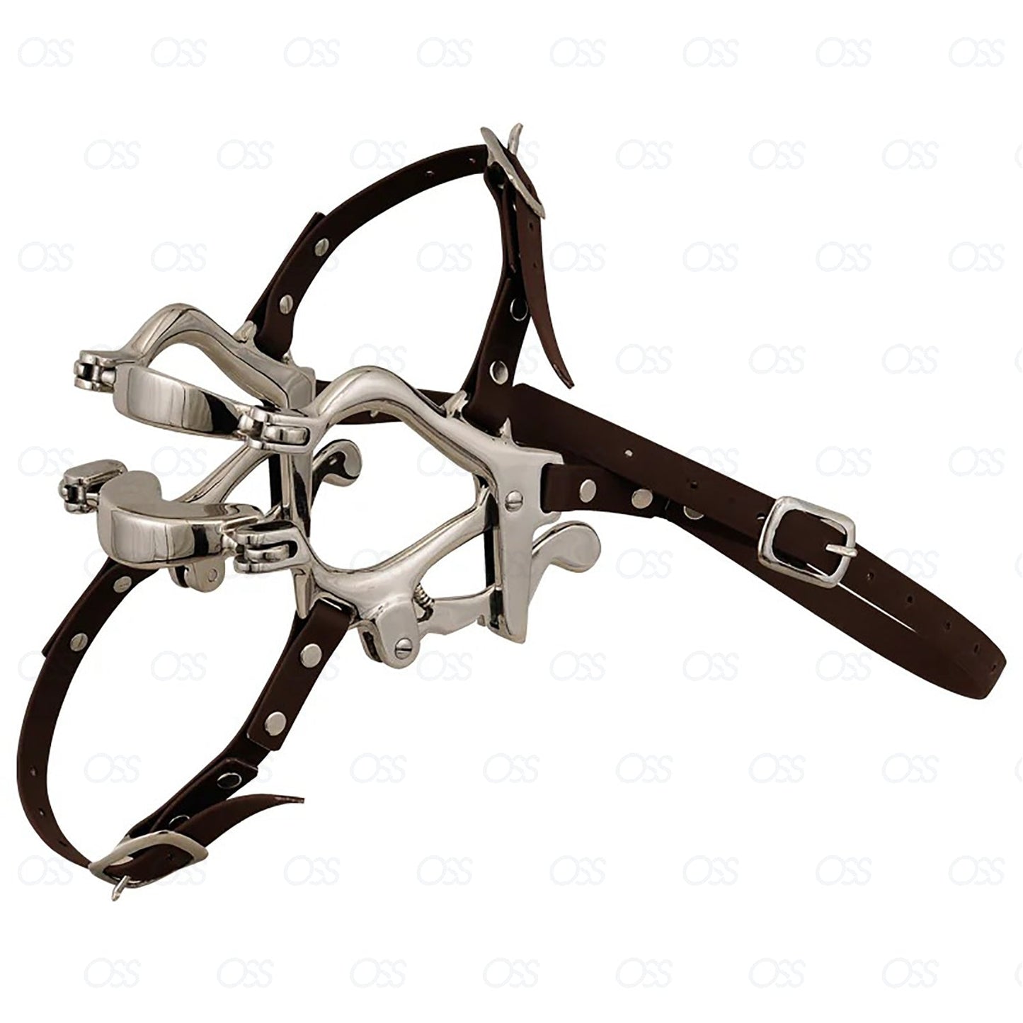 Equine Dental Specalum Horse Mouth Gag 6 plates Real Leather Stp Veterinary