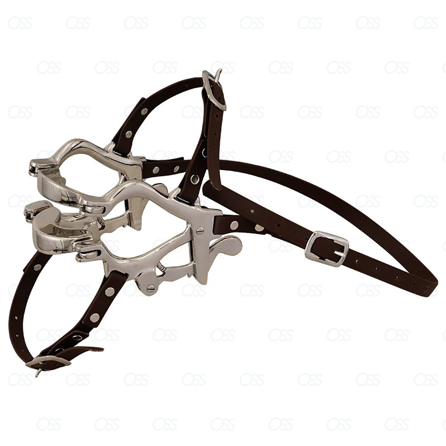 Equine Dental Specalum Horse Mouth Gag 6 plates Real Leather Stp Veterinary