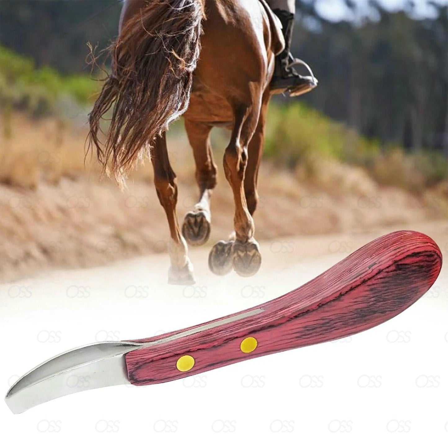 Farrier Tools Horse Hoof Loop Knife Blade Trimmer Trimming Farriers Equipment