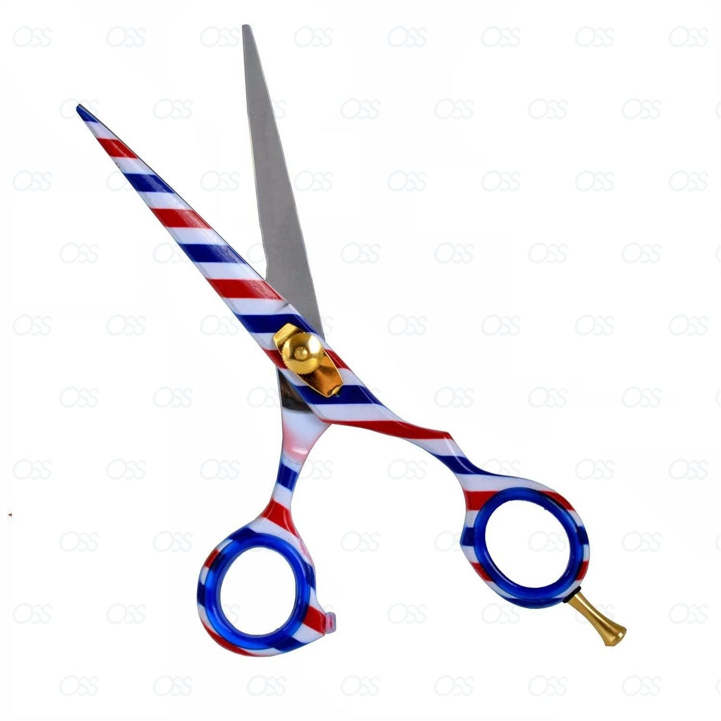 Professional Hairdressing Scissors Set (6 Inch) Hair Cutting Scissor & Thinning Scissor With Case – Perfect for Men, Women, Children, and Adults