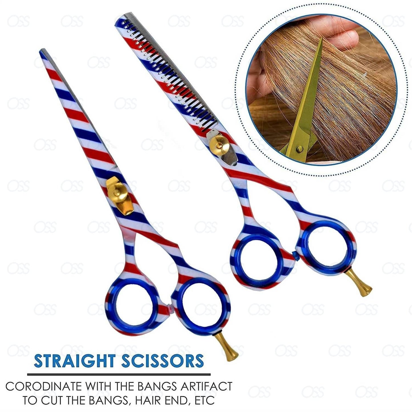 Professional Hairdressing Scissors Set (6 Inch) Hair Cutting Scissor & Thinning Scissor With Case – Perfect for Men, Women, Children, and Adults