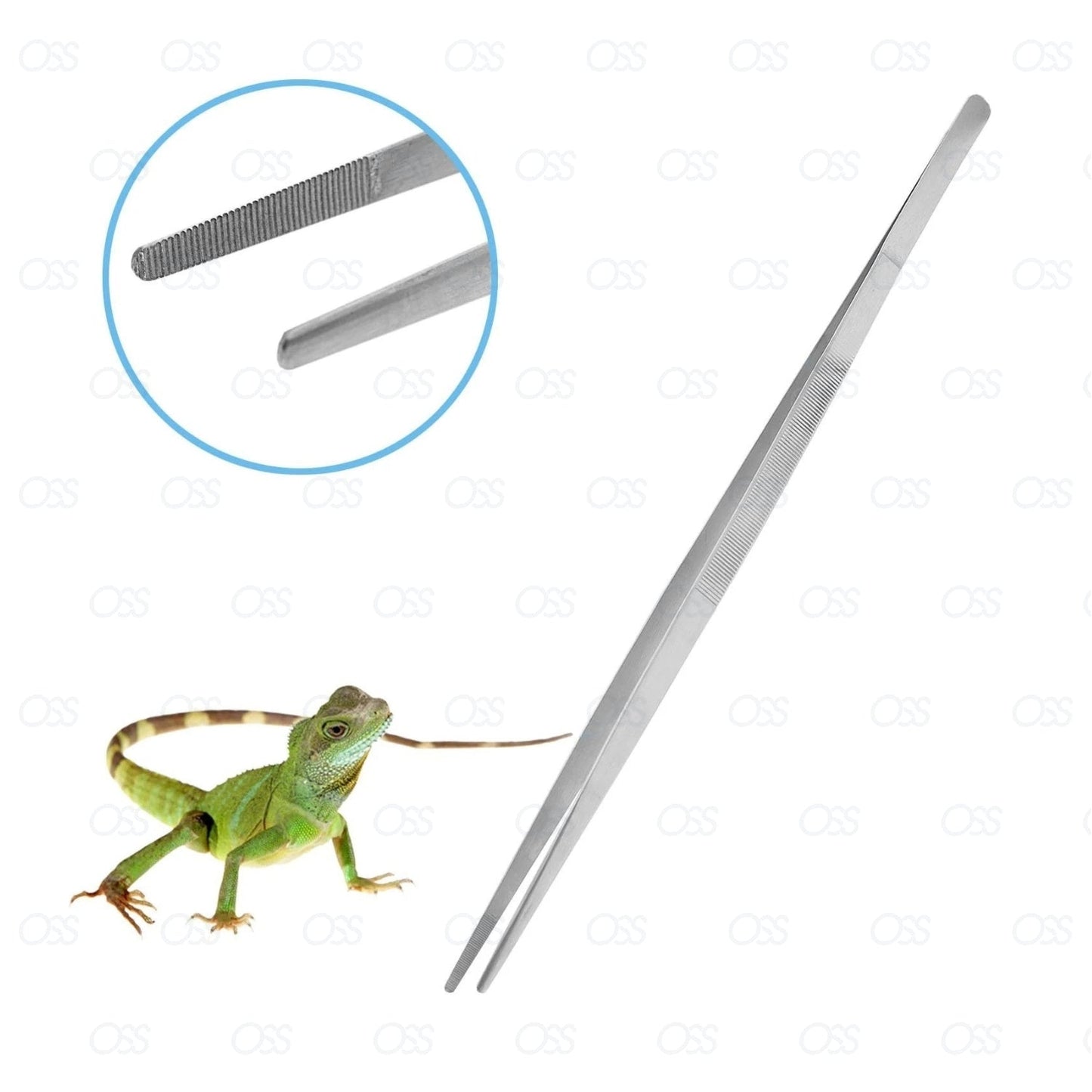 Reptiles Feeding Tongs Tweezers Forceps Hospitals Metal Stainless Steel CE