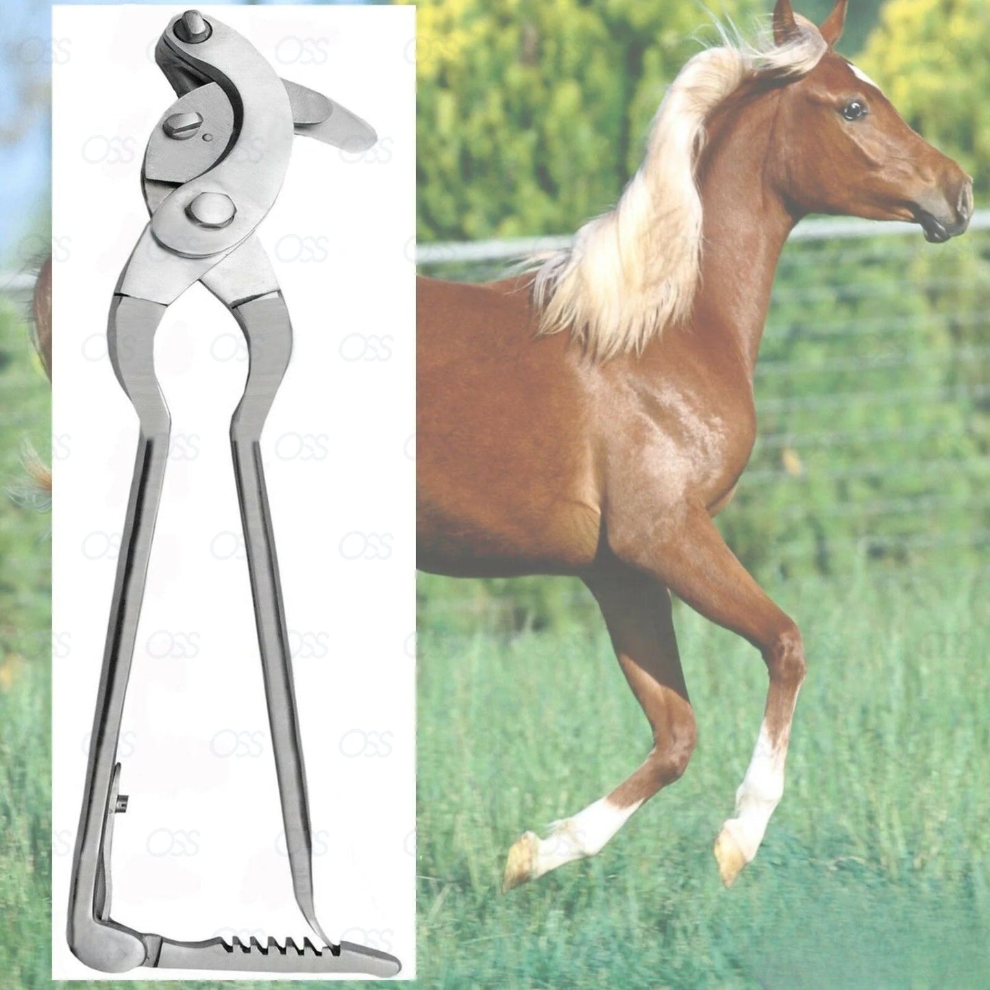 SERRA MODIFIED EMASCULATOR VET INSTRUMENT 37 CM WITH RATCHET