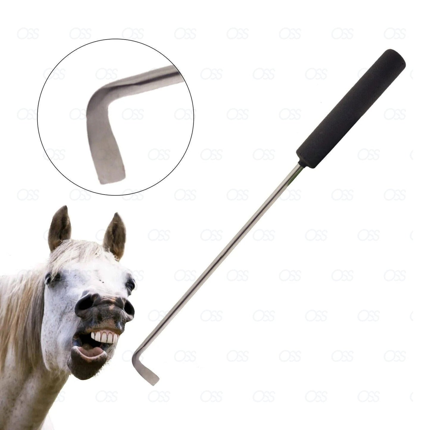 Set Dental Picks Equine Dentistry Horse Gum Elevator England