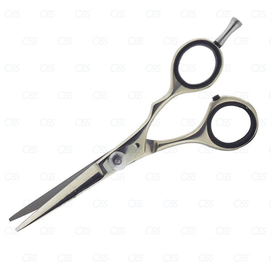 Professional Hairdressing Scissors,Hair Cutting Scissors Shears for Barber Salon - 5.5"-6" Overall Length with Fine Adjustment Tension Screw 100% Stainless (5.5" Classic Polish)